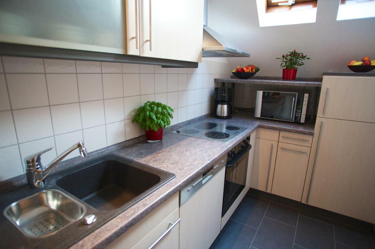 Neumann Apartment مارباخ أم نيكار المظهر الخارجي الصورة